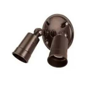 Fl1abz Acclaim Lighting 2 Light 5 Inch Flood In Architectural Bronze