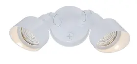 Lfl2wh Acclaim Lighting Lfl2 White Dual Head Led Flood Light With Clear Glass