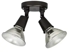9502rz Capital Lighting Bronze 2 Lamp Cast Floodlight