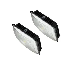 Cpy-65w Krled Cyled 65w Led Canopy Light Industrial Waterproof Explosion-proof Outdoor High
