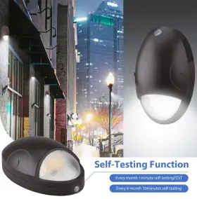 Plt 842821121034 1800 Lumens - 15 Watt -color Selectable Emergency Mini Led Wall Pack Fixture