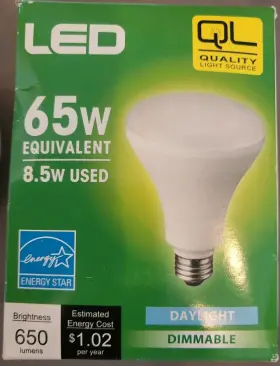 Quality Light Source 819816020504 65w Led White Dimmable Daylight Lightbulb New Free Shipping
