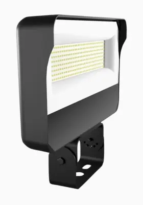 X34m Rab 019813509785 Lighting Led Flood Light Bronze 50 000 Hr Adjustable Knuckle 120-277v