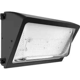 Wp2led49l-750u Rab Long Lifespan Led Light Wallmount 5000k 5 116 Lumens 34w