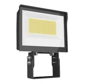 X17fa105t Rab 105w Led Flood Light