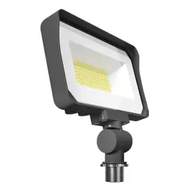 X34s Rab Cct Led Flood Light Knuckle Mount Dlc Standard Bronze- New