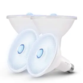 0060685040 Sengled Motion Sensor Flood Lights Outdoor Dusk To Dawn Security Light Bulbs