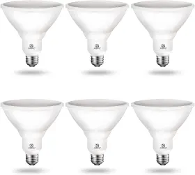 Yga08c08 Yankon Energetic 1250lm Outdoor Par38 Led Flood Light Bulb 13.5w 100w Dimmable 5000k Yga08c08 Yankon Energetic 1250lm Outdoor Par38 Led Flood Light Bulb 13.5w 100w Dimmable 5000k