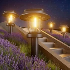 Alepod Solar Pathway Lights Outdoor - 10 Pack Powered Garden Wat... New. Price: $82.03.