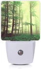 Misty Forest Night Light,fantasy Green Tree Lights Plug New. Price: $27.24.