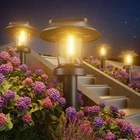 Alepod Solar Pathway Lights Outdoor - 8 Pack Powered Garden Wate... New. Price: $71.88.