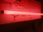 Philips F40PK 40W 48" T12 Pink Fluorescent (lamps Sold By The Lot Of 6 Lamps) New. Price: $149.00.