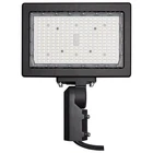 Nuvo Lighting Led Flood Light, 150W 4000K, Bronze 65-619R1 New. Price: $252.99.