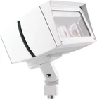 Rab Lighting FFLED39W Future Flood Cool 120-277V White Open. Price: $298.99.