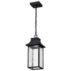 Nuvo Lighting Austen 1LT Led 8" Outdoor Hanging Fixture, Black Water 62-5996 New. Price: $213.60.