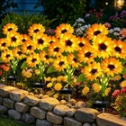 Solar Lights Outdoor 4 Pack Sunflower Waterproof Garden Decor HDHG-65 Vookry New. Price: $59.99.