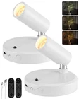 Ezvalo Spot Lights Indoor, 5500MAH Rechargeable Picture 2PACK, White New. Price: $42.40.