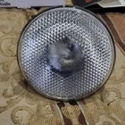 Vintage Amplex Projector/floodlight Watt 130 Volt -150 Par/fl Used. Price: $15.00.