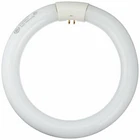 Ge Lighting 33774 Cool White 8-INCH Diameter Circline Fluorescent T9 Bulb, New. Price: $12.77.