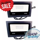 Onforu 2 Pack 30W Led Lights, Flood With Plug, IP66 Open. Price: $18.95.