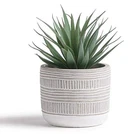 Kurrajong Farmhouse Artificial Plant 8" Fake For Desk Decor Artific... New. Price: $48.00.