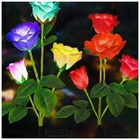 Tonulax Solar Garden Lights - Upgraded Outdoor Light, 2 Pack, Multicolor New. Price: $26.12.