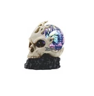 Ice Armor 6.75" Skull With Led Light Glass Globe Statue Fantasy Decoration ... New. Price: $71.90.