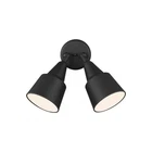 8560702-12 Outdoor Flood Adjustable Swivel Aluminum Light, 2-LIGH... Used. Price: $72.06.