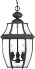 Progress Lighting New Haven 3-LIGHT Black Outdoor Lantern Beveled Glass. Price: $139.93.