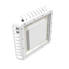 Led Canopy Light 200W, Square Gas Station 5000K, 1-10V Dimmable, Etl New. Price: $139.99.
