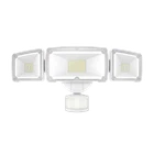 3 Head Security Light, Dusk To Dawn, Motion Open. Price: $59.99.