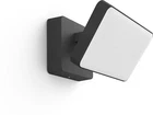 Philips Hue Discover Outdoor White & Color Ambiance Smart Floodlight New. Price: $197.99.