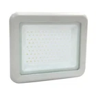 Garden Floodlight Led 100W Nisko Smd Jet, Hd Aluminum W/bracket 6000K,8000LM New. Price: $58.10.