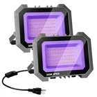 30W Led Lights 2 Pack, Flood With On/off Switch 6.7FT ... New. Price: $35.99.