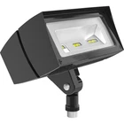 Rab Lighting Future Flood 18W 4000K Led Bronze Commercial 100,000 Lifespan New. Price: $199.99.