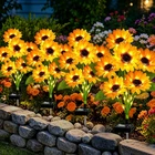 Vookry Solar Outdoor, Pack With 24 Sunflower Lights, Waterproof New. Price: $60.79.