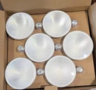 Daylight Led Outdoor Floodlight Bulbs 12 Ge Watt PAR38 Bright 900 Lumens New. Price: $63.75.