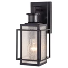Vaxcel Lighting T0662 Hyde Park 13" Tall Outdoor Wall Sconce - Bronze New. Price: $199.99.