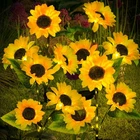 Solar Garden Lights 4 Pack 12 Led Sunflower Waterproof Outdoor Stake Illuminew. Price: $59.99.