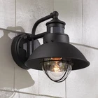 Oberlin Rustic Outdoor Wall Light Fixture Black Dusk To Dawn Motion Sensor 9" New. Price: $84.99.