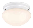 Westinghouse Polished Switch Led Light Fixture White Finish/glass 61071 New. Price: $29.99.