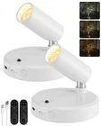 Ezvalo INDOOR,5500MAH Rechargeable Plant Open. Price: $21.36.
