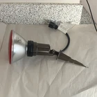 Wood-lite's PAR38 Flood Light Outdoor 80W 120V Red Portable Ground Used. Price: $7.46.