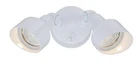 Acclaim Lighting LFL2 White Dual Head Led Flood With Clear Glass New. Price: $119.90.