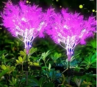 Neporal Solar-garden-lights-outdoor-decorative, 2 Pink Flowers New. Price: $18.99.