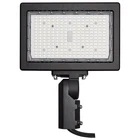 Nuvo Lighting Led Flood Light, 150W 5000K, Bronze 65-620R1 New. Price: $252.99.