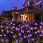Kohlrabi Solar Garden Lights Outdoor, Pack 40 Led Purple Firefly Ligh... New. Price: $71.62.