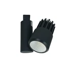 Nora Lighting NTE-845L 930X 15W Aiden Led Track Head Black With Flood & Spot New. Price: $29.00.