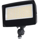 Nuvo Lighting 65/1541 Colorquick;powerquick Led 9.74 Inch Bronze Flood New. Price: $132.99.