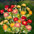 Solar Lights, 4 Pack Garden With 28 Flowers, Waterproof ... New. Price: $39.02.